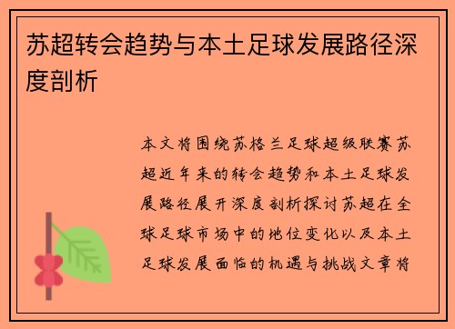 苏超转会趋势与本土足球发展路径深度剖析